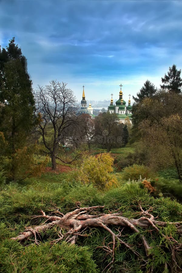 The forest summer landscape with a large old tree& x27;s root and Orthodox church