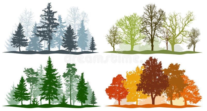 Forest trees winter spring summer autumn. 4 seasons vector illustration stock illustration