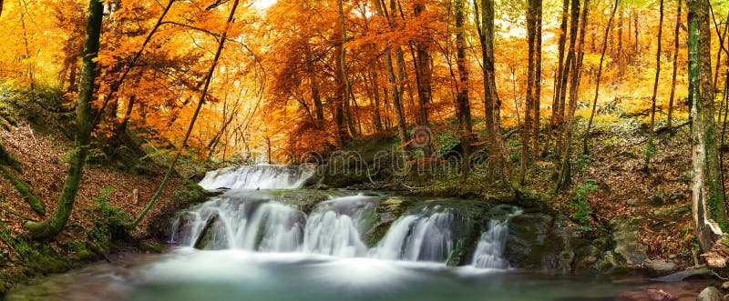 Forest waterfall