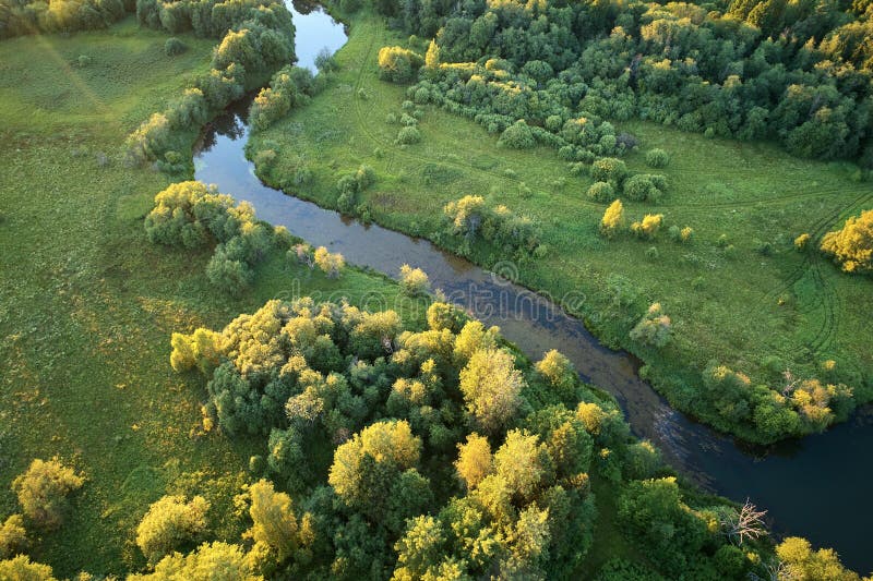 Forest with a Winding River at Sunset. Aerial Photography with a Drone