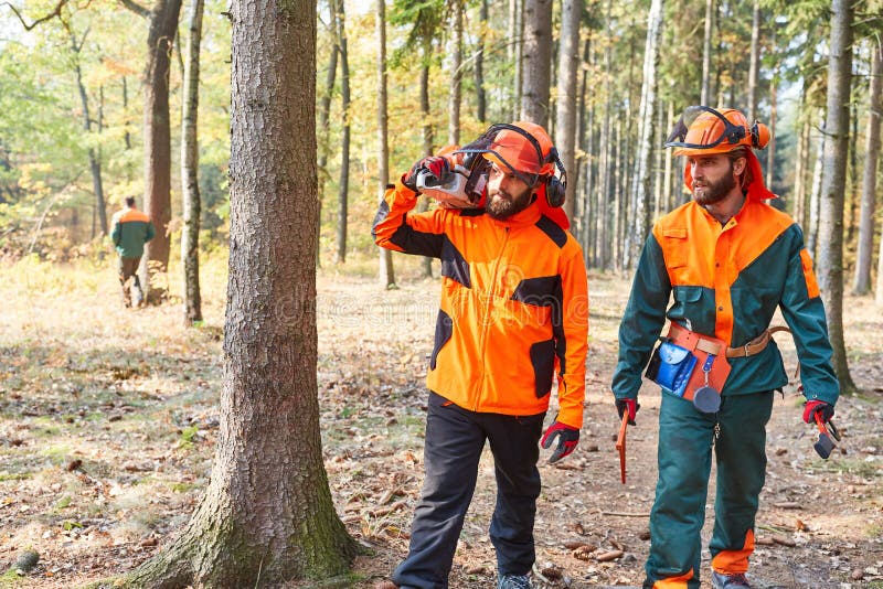 Forest Worker with Chainsaw and Protective Gear Stock Image Image of
