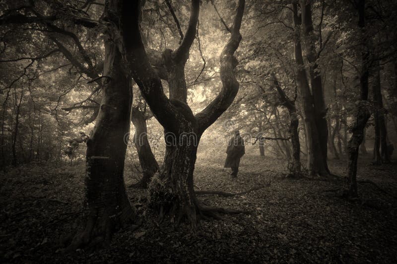 Spooky forest with man silhouette on halloween. Spooky forest with man silhouette on halloween