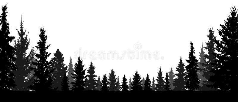 Foresta, conifere, fondo di vettore della siluetta