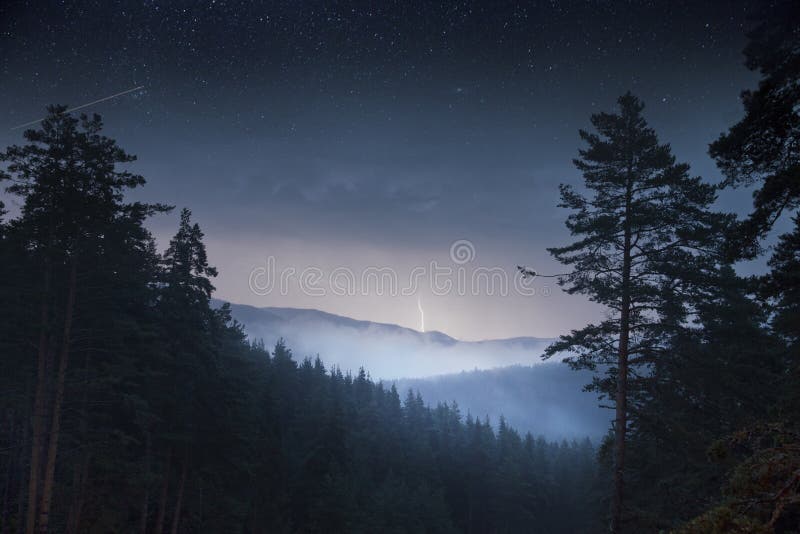 Foresta dei pini di notte & montagna e tuono