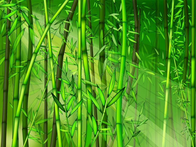 Foresta di bambù illustrazione vettoriale Foresta di bambù illustrazione vettoriale