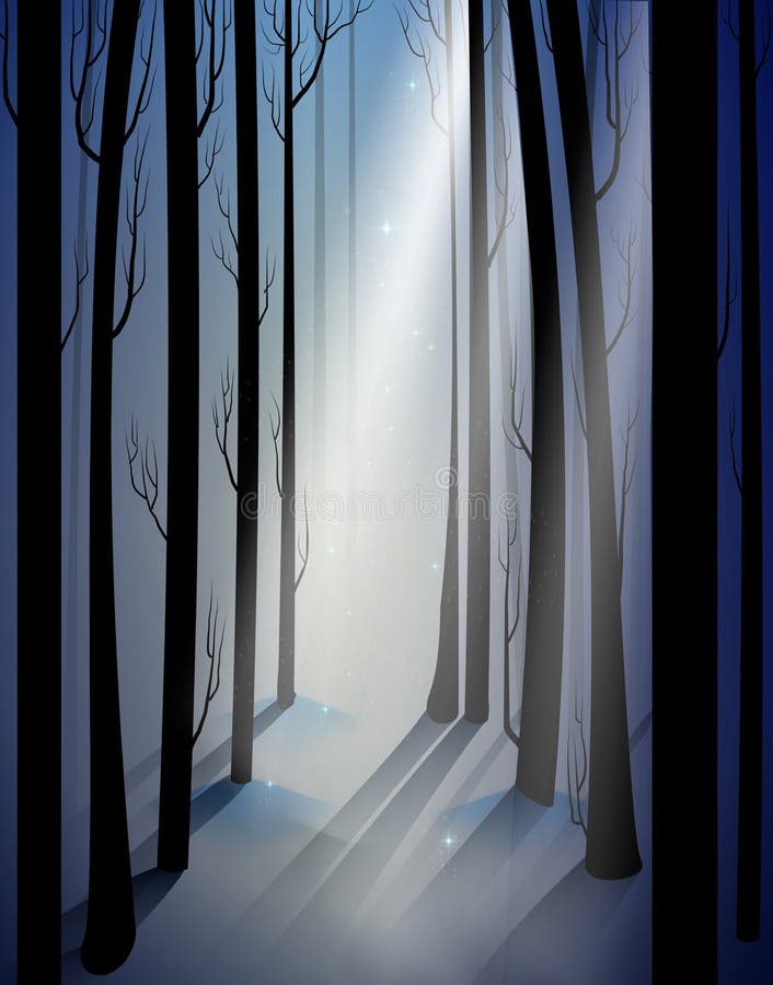 Foresta gelida leggiadramente profonda di inverno con il raggio luminoso di mistero, ombre, legno leggiadramente di inverno illustrazione di stock