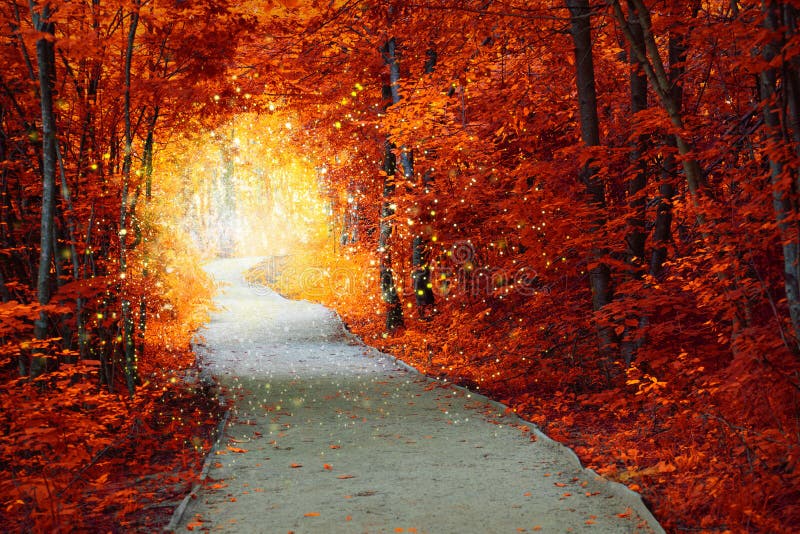 Foresta magica di autunno con il percorso e l'incandescenza fantastica immagini stock libere da diritti Foresta magica di autunno con il percorso e l'incandescenza fantastica immagini stock libere da diritti