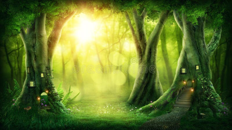 Dark magic forest with sunshine. Dark magic forest with sunshine