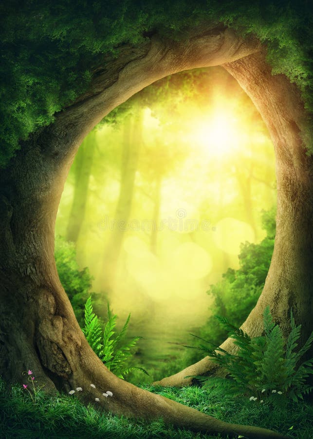 Foresta magica scura illustrazione di stock