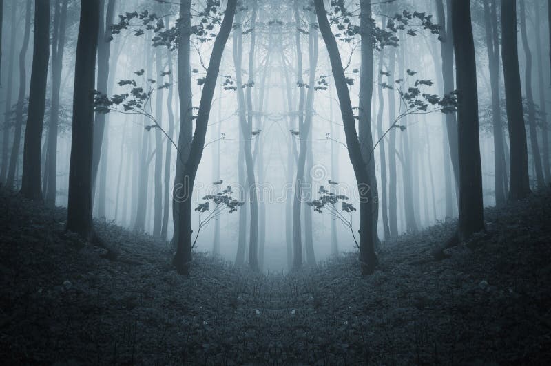 Foresta terrificante simmetrica scura con nebbia in autunno tardo