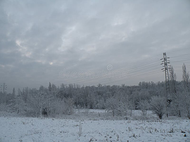 Foresta triste di panorama di inverno della natura fotografia stock Foresta triste di panorama di inverno della natura fotografia stock