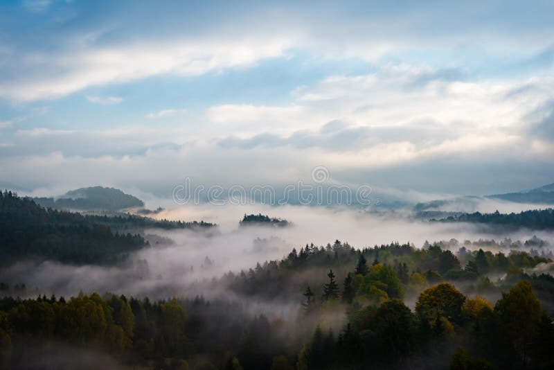 Foreste nebbiose della Svizzera della Boemia, repubblica Ceca