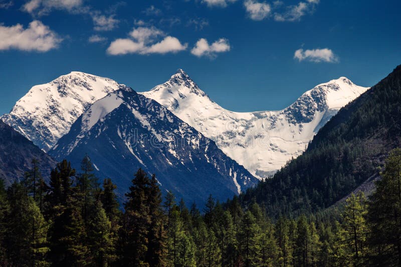 Forested Mountain Slopes And Snow Capped Peaks Stock Photo Image Of