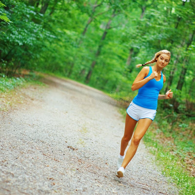 Forested Road Runner