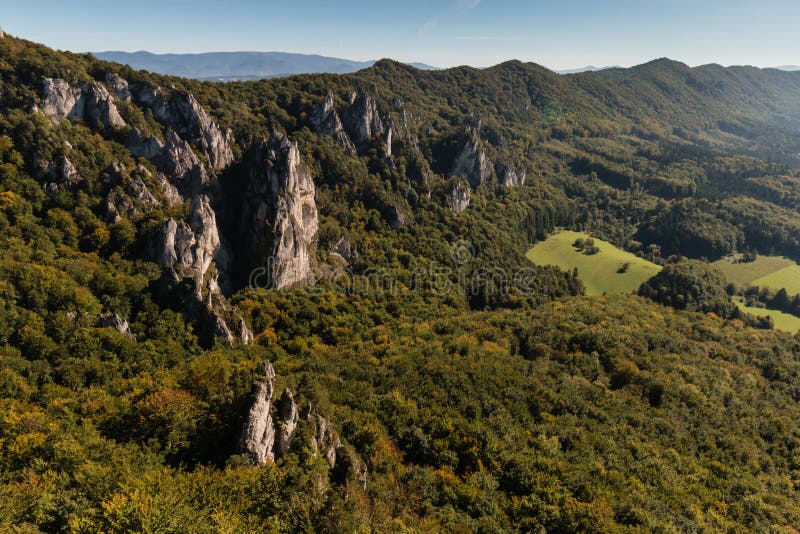 Forested slopes in Carpathian mountains