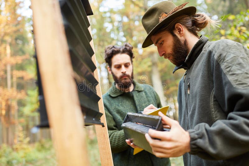Forester inspect bark beetle trap in the forest. Forester controls a bark beetle trap in the forest to fight bark beetles stock image Forester inspect bark beetle trap in the forest. Forester controls a bark beetle trap in the forest to fight bark beetles stock image
