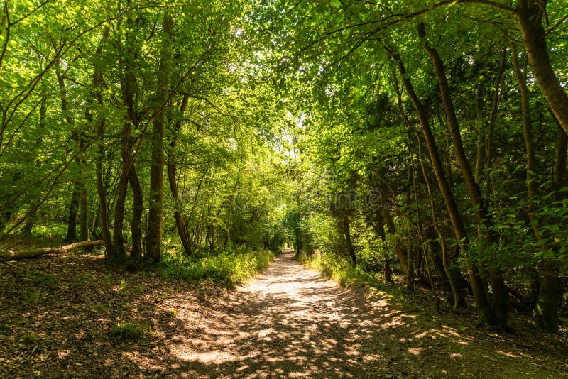 Saunderton Stock Photos Free & RoyaltyFree Stock Photos from Dreamstime