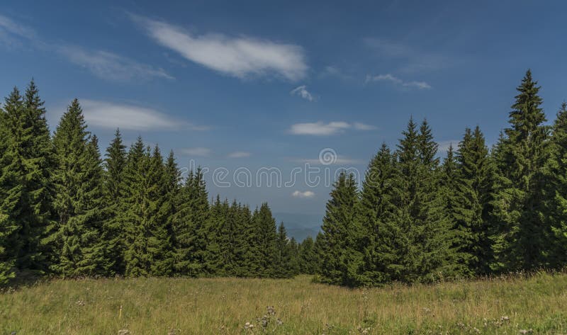 Forests under Velky Choc hill in north Slovakia in summer