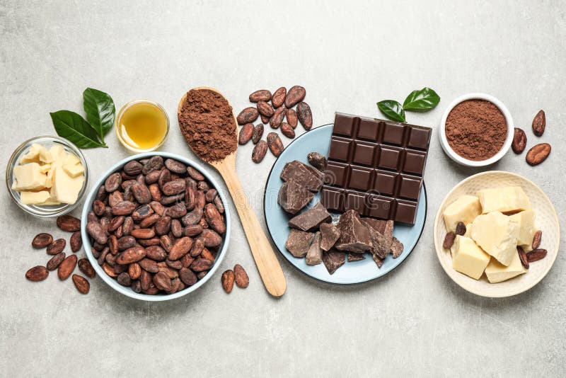 Forfaitaire samenstelling met biologische cacaoboter op grijze tafel stock fotografie Forfaitaire samenstelling met biologische cacaoboter op grijze tafel stock fotografie