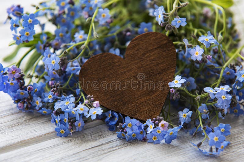 Forget Me Not, Small Flowers In The Shape Of A Heart Stock Photo, Picture  and Royalty Free Image. Image 8171167.