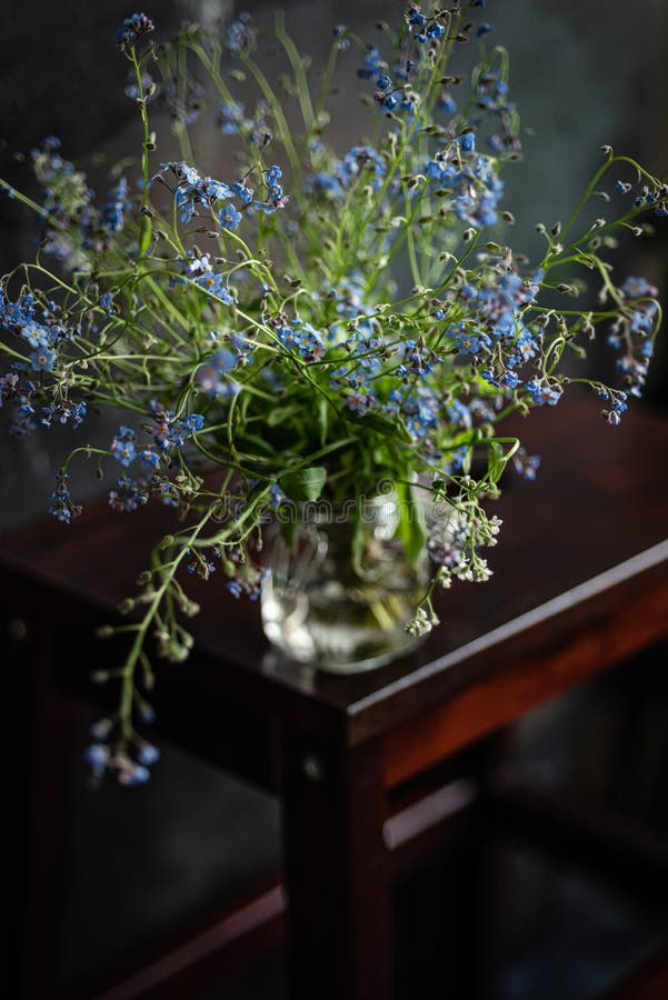 Forget-me-not`s bouquet in small glass jar on wooden stool, dark background stock photography Forget-me-not`s bouquet in small glass jar on wooden stool, dark background stock photography