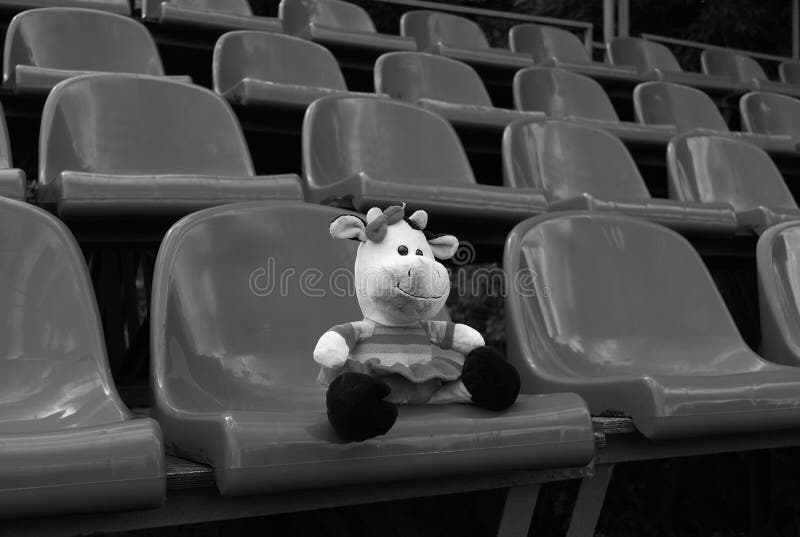 Forgotten by Someone in the Stands of the Stadium Dirty Soft Toy `Cow`.  Loneliness. Black and White Photo. Stock Image - Image of hidden, black:  164110967