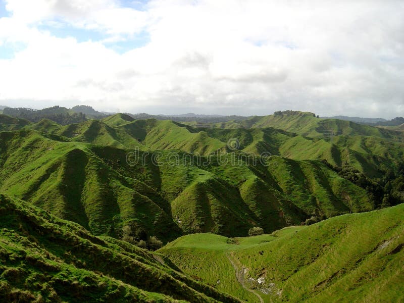 Forgotten World, New Zealand