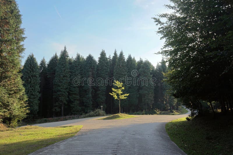 Fork in county road royalty free stock photos Fork in county road royalty free stock photos