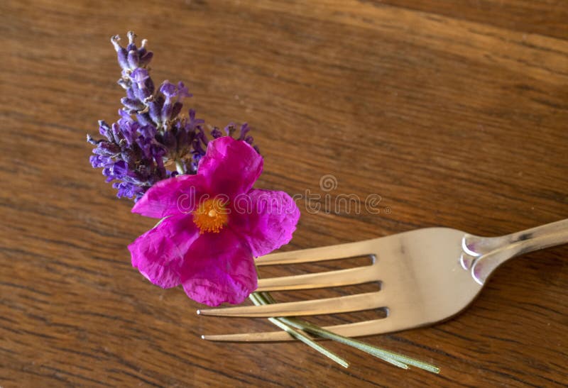 Flower and fork stock image. Image of food, floral, nature 16728997