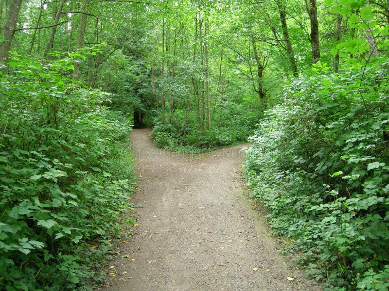 Fork in the road stock image. Image of meander, nature 5961423