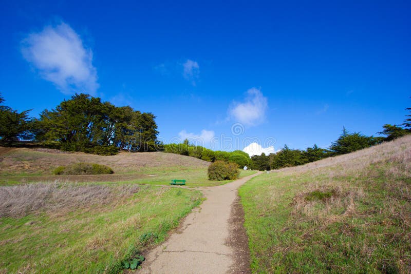 A Fork in the Road stock image. Image of grass, decision 48089561