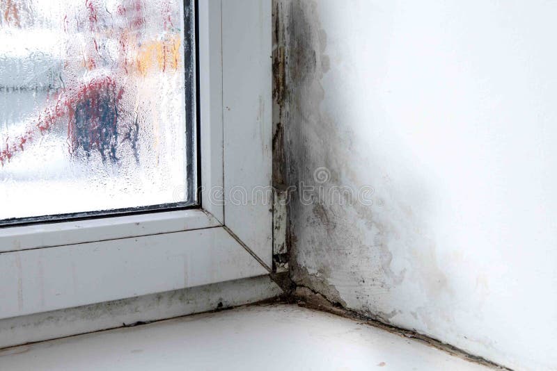 Form In Der Ecke Des Fensters Stockbild Bild von