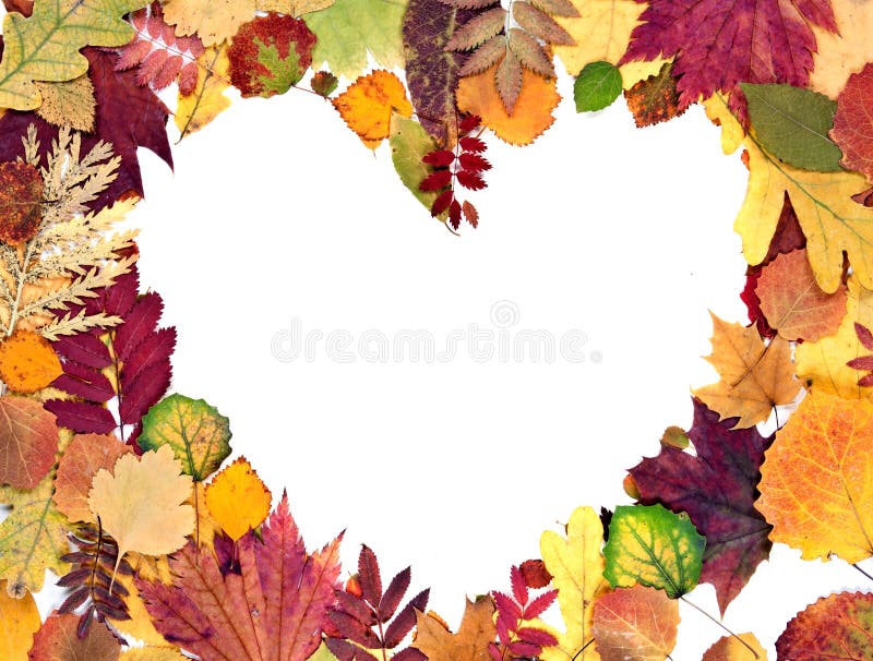 Form the heart of autumn leaves