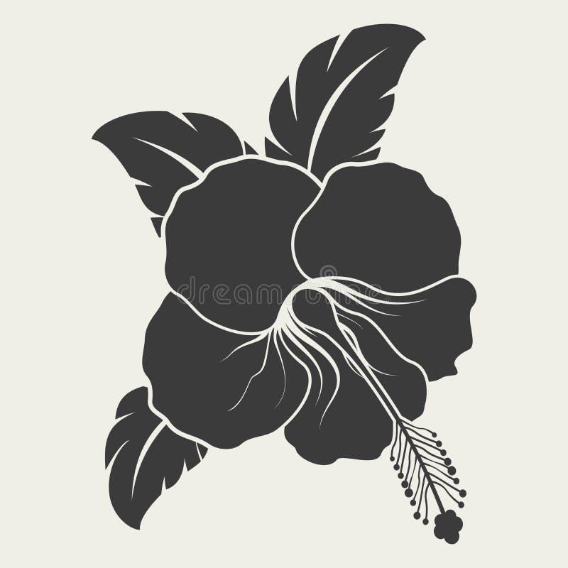 Forma blanco y negro de la flor del hibisco ilustración del vector Forma blanco y negro de la flor del hibisco ilustración del vector