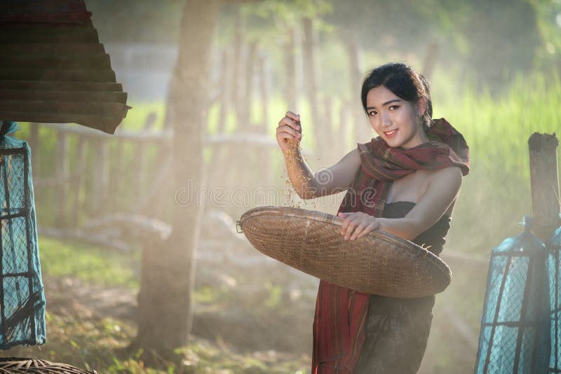 Forma de vida de mujeres asiáticas rurales en el campo Tailandia del campo imagen de archivo libre de regalías Forma de vida de mujeres asiáticas rurales en el campo Tailandia del campo imagen de archivo libre de regalías