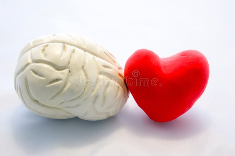 Forma del cuore del cartellino rosso e figura della condizione del cervello umano accanto accanto a ogni altro sopra al fondo bia