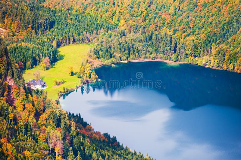 Forma di cuore sulla superficie del lago fotografia stock