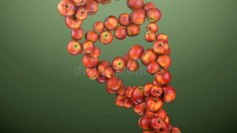 Formaci?n de DNA Los filamentos de la DNA est?n montados de manzanas rojas 4K