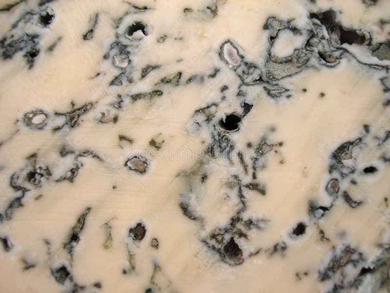 Formaggio erborinato immagine stock libera da diritti