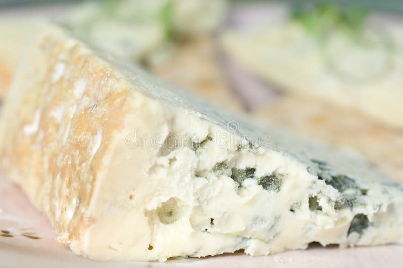 Formaggio erborinato immagine stock