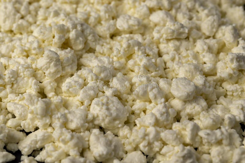 Formaggio di cottage a partire da latte di colore bianco di conchiglie di fresco immagine stock libera da diritti