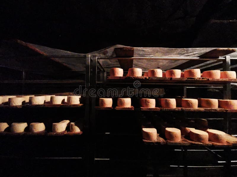 Romanian cheese Nasal on metal shelves in the grotto.  Nasal cheese is a specialty unique in the world due to its special taste, likened Camembert cheese, a fact that is for 20 days with a bacteria that exist in the cave in the village of Taga, Romania. Nasal famous cheese is produced in a cave in the village of Cluj Taga. The key ingredient is a smoothing bacterium. Romanian cheese Nasal on metal shelves in the grotto.  Nasal cheese is a specialty unique in the world due to its special taste, likened Camembert cheese, a fact that is for 20 days with a bacteria that exist in the cave in the village of Taga, Romania. Nasal famous cheese is produced in a cave in the village of Cluj Taga. The key ingredient is a smoothing bacterium.