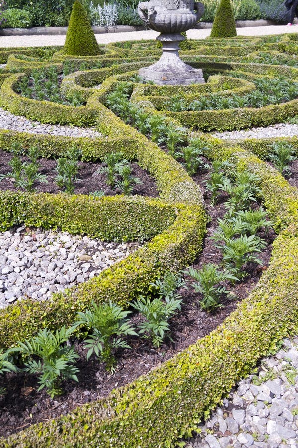 Formaler Tudor Garden stockfoto. Bild von geometrisch 45997262