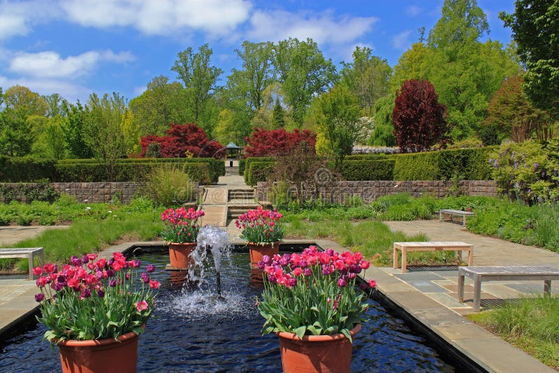 Formaler Garten stockfoto. Bild von auslegung