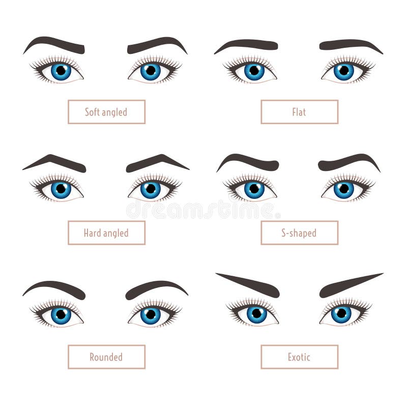 6 basic eyebrow shape types. Classic type and other. Vector illustration eyebrows with eyes - stock vector illustration with captions. Fashion female brow. Trimming. 6 basic eyebrow shape types. Classic type and other. Vector illustration eyebrows with eyes - stock vector illustration with captions. Fashion female brow. Trimming.