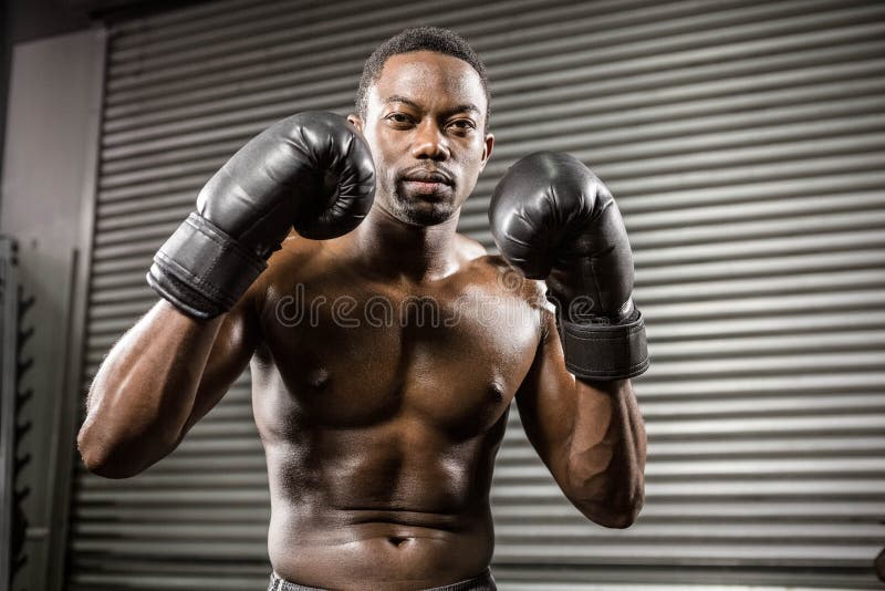 Formation sans chemise de boxeur photo libre de droits Formation sans chemise de boxeur photo libre de droits