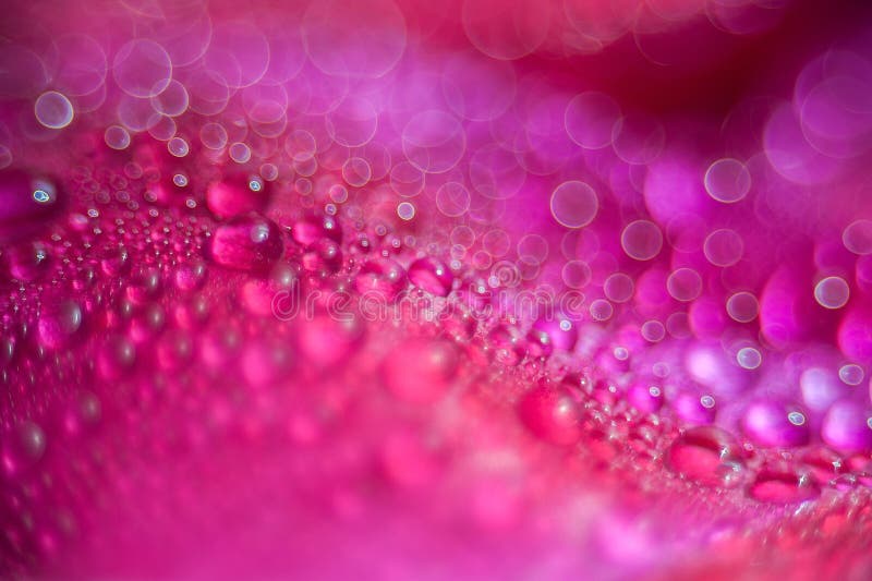 Forme circulaire de bokeh rose de nature, fond abstrait image libre de droits Forme circulaire de bokeh rose de nature, fond abstrait image libre de droits