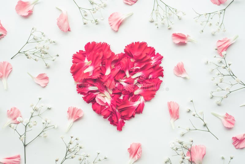 Forme de coeur faite de fleurs sur le fond blanc images stock Forme de coeur faite de fleurs sur le fond blanc images stock
