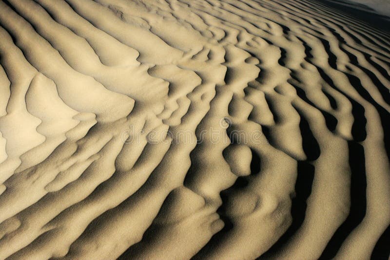 Forme de désert