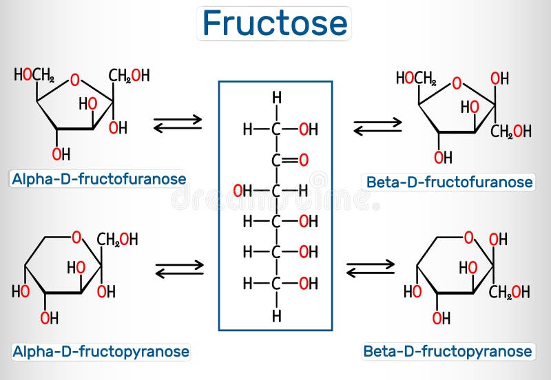 Formes tautomères de d-fructose Alpha-D-FRUCTOFURANOSe, bêta-D-FRUCTOFURANOSe, alpha-D-FRUCTOPYRANOSe, bêta-D-FRUCTOPYRANOSe formule chimique structurelle Illustration de vecteur